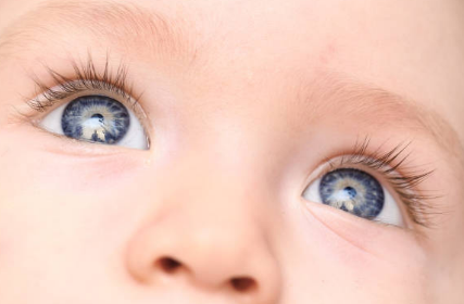 yeux de bébé